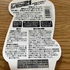レモンの木の画像