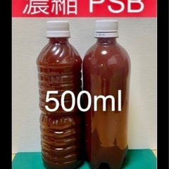 メダカ 🐟 濃縮PSB500ml                                    専用の培養液で培養　差し上げますの画像