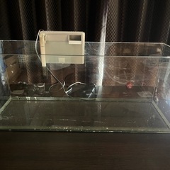 GEX 60㎝スリムガラス水槽の画像