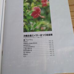 第34・35回沖縄全島エイサーまつりのパンフレットの画像