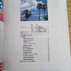第34・35回沖縄全島エイサーまつりのパンフレットの画像