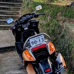 スズキ・ジェンマ250ccの画像