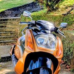 スズキ・ジェンマ250ccの画像