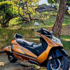 スズキ・ジェンマ250ccの画像