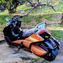 スズキ・ジェンマ250ccの画像