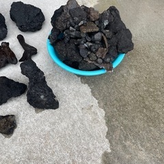 溶岩石S〜LL流木セットかなりお得‼️
の画像