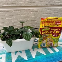 🍉スイカぺぺ🍉の画像