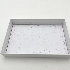 10》【極美品】ハンディ美顔器の画像