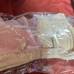 ブラ&ショーツセットの画像