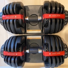 ダンベル、トレーニングベンチの画像