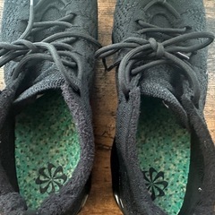 NIKE AIR ヴェイパー MAXの画像