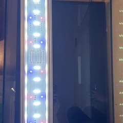 水槽セット　ライト+フィルターの画像