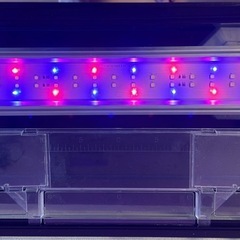 水槽セット　GEX 60LOWの画像