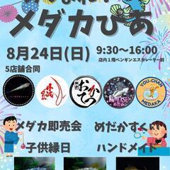 『あつまれ！メダカぴあ』