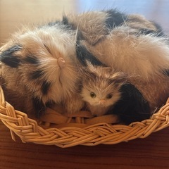 あげますの画像