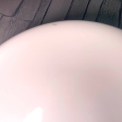 Noritake ボーンチャイナ 平皿 3枚セットの画像