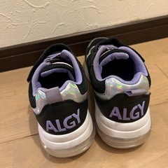 9/13削除予定　靴22cm ALGYの画像