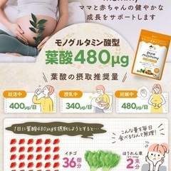 【新品】葉酸 妊活 サプリ 鉄 カルシウム ビタミン11種 ミネラル 国産野菜22種の画像
