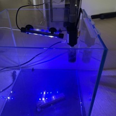 水槽セットの画像