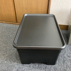 ダルトン　ハーフメッシュカーゴ　バスケットセットの画像