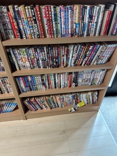 漫画800冊くらい(以上？)