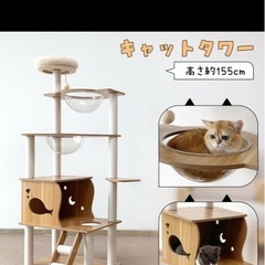 猫キャットタワーの画像