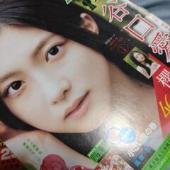 週刊少年サンデー2023年 17号〜32号 15冊セットの画像