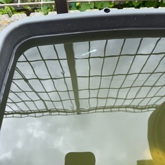メダカ　容器含め、全て引き取って下さいの画像