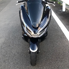 PCX125(HYBRID)の画像