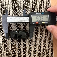 スマトラオオヒラタ　ペア②の画像