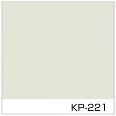 【受け取れる方限定】アレスアクアグロス KP-221 15kg 三分艶の画像