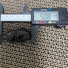 スマトラオオヒラタ　ペア③の画像