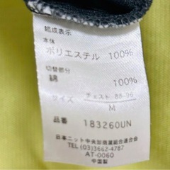 【8/15(金)まで】【GILEVANS】カットソー ストライプ 半袖T シャツ Mサイズ 未使用に近いの画像
