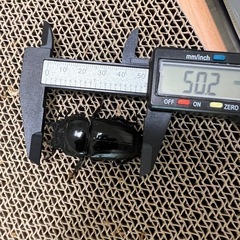 スマトラオオヒラタ　ペア⑤の画像