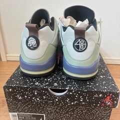 NIKE ジョーダンスパイジーク　28.5cmの画像