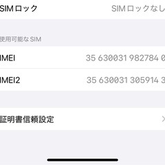 【美品】iPhone 16 Pro 256GB デザートチタニウム おまけ付きの画像