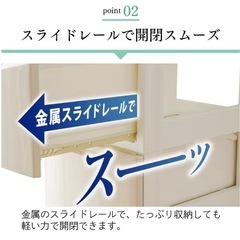 IRISOHYAMA 収納ボックスの画像