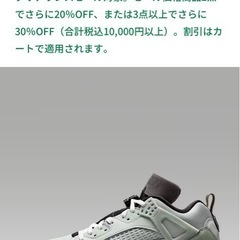 NIKE ジョーダンスパイジーク　28.5cmの画像