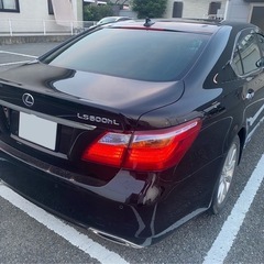 ls600hl 中期 の画像