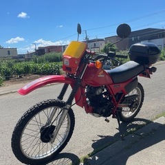 xl125r HONDA ホンダ　1983年式の画像