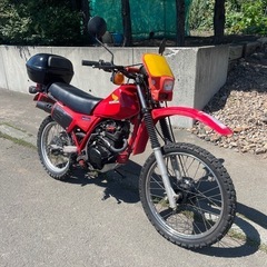 xl125r HONDA ホンダ　1983年式の画像