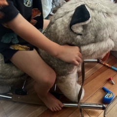 犬の乗り物の画像