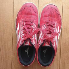 【Mizuno】テニスシューズ　カーペット用23.5cmの画像