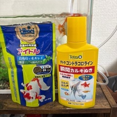 水槽、金魚付きの画像