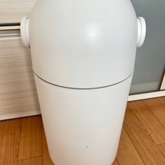 ピジョン ステールの画像