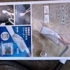 リンサークリーナー　アイリスオオヤマ　RNS300の画像