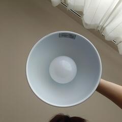 照明器具　ペンダントライト　ニトリ　美品✨️の画像