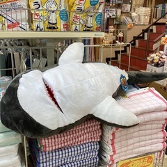 新品　ふわふわ　サメぬいぐるみの画像