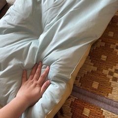 【未使用】ペットのお布団2点セットの画像