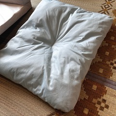 【未使用】ペットのお布団2点セットの画像